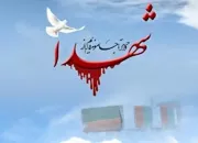 ​​​​​​​قاب دلنشینی،که به سرود سلام فرمانده آمد+ویدئو