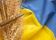 سازمان‌ملل: نمی‌توانیم ادعای اوکراین درباره ربوده شدن غلاتش را تایید کنیم
