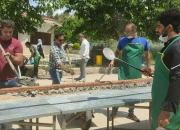 فیلم/ پخت کباب ۱۱۰ متری برای نیازمندان در روز عید غدیر