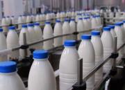 فیلم/ حجم تولید شیر در ایران چقدر است؟
