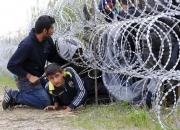 فیلم/ واقعا مرز کشورهای اروپایی به روی مهاجران باز است؟