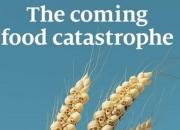 هشدار اکونومیست: فاجعه غذایی در راه است