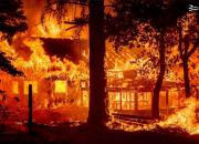 فیلم/ کالیفرنیا در محاصره گردباد آتش