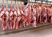 موردی از آلودگی گوشت‌های وارداتی در کردستان مشاهده نشده است
