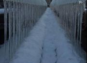 عکس/ قندیل‌های یخی طویل در ارومیه