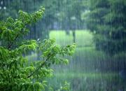 فیلم/ بارش باران تابستانی در اهواز