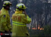 عکس/ شرق استرالیا در محاصره آتش