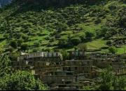 عکس/ طبیعت بکر روستایی در کردستان
