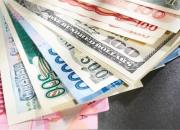 نرخ ۲۰ ارز بین بانکی افزایش یافت 