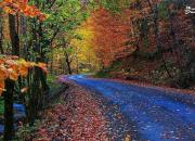 عکس/ پاییز هزار رنگ روستای حیران