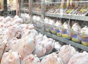 کاهش قیمت مرغ تا چند روز آینده