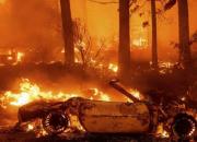بزرگترین آتش سوزی کالیفرنیا خانه‌ها را سوزاند +عکس و فیلم