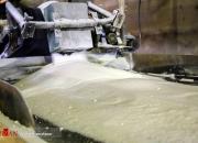 افزایش بیش از ۹۰ درصدی قیمت شکر از ابتدای سال