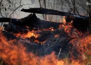 تصاویر هوایی از آتش‌سوزی در جنگل‌های آمازون