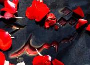 شهیدی که آرزو داشت شبانه دفن شود