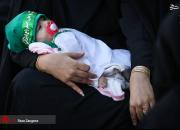 عکس/ مراسم شیرخوارگان حسینی در کشور