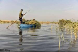 فیلم/ تالاب هامون پس از ۲۰ سال پرآب شد