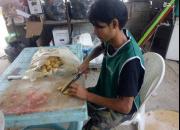 از موکب دندانپزشکی تا قیمه نجفی