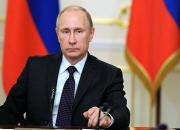 پوتین: روسیه در صادرات غلات دخالت نمی‌کند