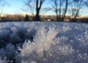 هشدار هواشناسی؛ کاهش دما و سرمازدگی باغات