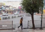 عکس/ بارش باران در بندرعباس