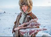 عکس/ ساکنان همیشگی سرزمین‌های یخی
