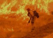  مفقود شدن هزار نفر در آتش سوزی کالیفرنیا