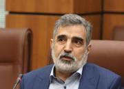 ایران کماکان متعهد به پادمان است / اقدامات دیگری هم در دستورکار داریم
