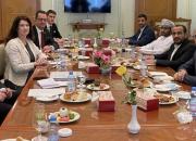 دیدار وزیر خارجه سوئد با سخنگوی جنبش انصارالله یمن