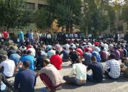 دستگیری 247 نفر در پی انهدام 54 باند سرقت در پایتخت
