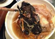 چطور "خفاش، موش، سوسک، سگ، قورباغه" وارد رژیم‌ غذایی چینی‌ها شد؟