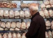 سازمان دامپزشکی«تریاکی بودن مرغ‌ها» را تکذیب کرد