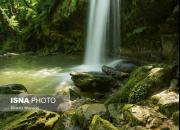 عکس/ هفت آبشار پلکانی در دل جنگل