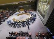 تا ساعاتی دیگر؛ نشست اضطراری شورای امنیت درباره حمله ترکیه