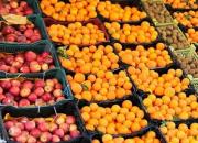 عرضه میوه به قیمت مناسب در ۲۵۳ تره بار تهران