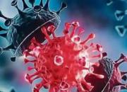 واکنش وزارت بهداشت به سویه جدید ویروس کرونا
