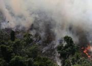 فیلم/آخرین وضعیت از آتش سوزی جنگل‌های ارسباران