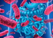 افزایش فیبر میکروبیوم‌های روده را تغییر می‌دهد