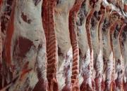 گوشت وارداتی به دست مصرف کنندگان واقعی نمی‌رسد 