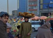 گلایه یک همسر شهید از تبعیض‌ نسبت به افغان‌ها