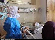 تب ویروس منحوس بازهم بالا رفت/ مشکلات ادامه‌دار واکسیناسیون/ آماده باش مراکز درمانی استان فارس +نقشه و نمودار