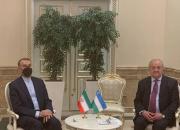 گفتگوی امیرعبداللهیان و وزیر خارجه ازبکستان در عشق آباد