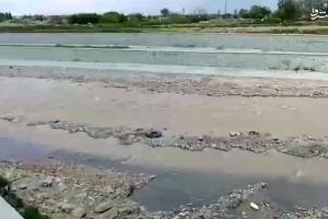 فیلم/ افزایش چشمگیر حجم آب رودخانه کن