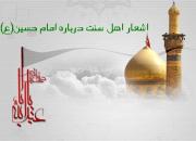 دست من بر دامن آل علی؛ نهضتی تا ماسوا دارد حسین