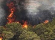 فیلم/ حادثه آتش‌سوزی در جنگل‌های خاییز  کهگیلویه