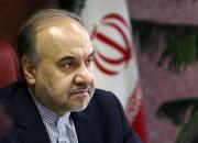 وزیر ورزش درباره لغو میزبانی ایران تذکر گرفت