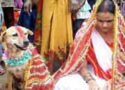 ازدواج با سگ به بهانه نجات از پلیدی و خباثت! +عکس