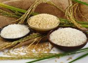 علت گرانی قیمت برنج چیست؟