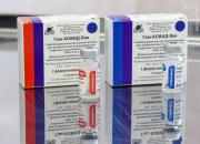 فرانسوی‌ها مایل به دریافت واکسن روسی هستند