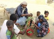  ساکنان یمن از گرسنگی به تغذیه از برگ درختان روی آورده‌اند